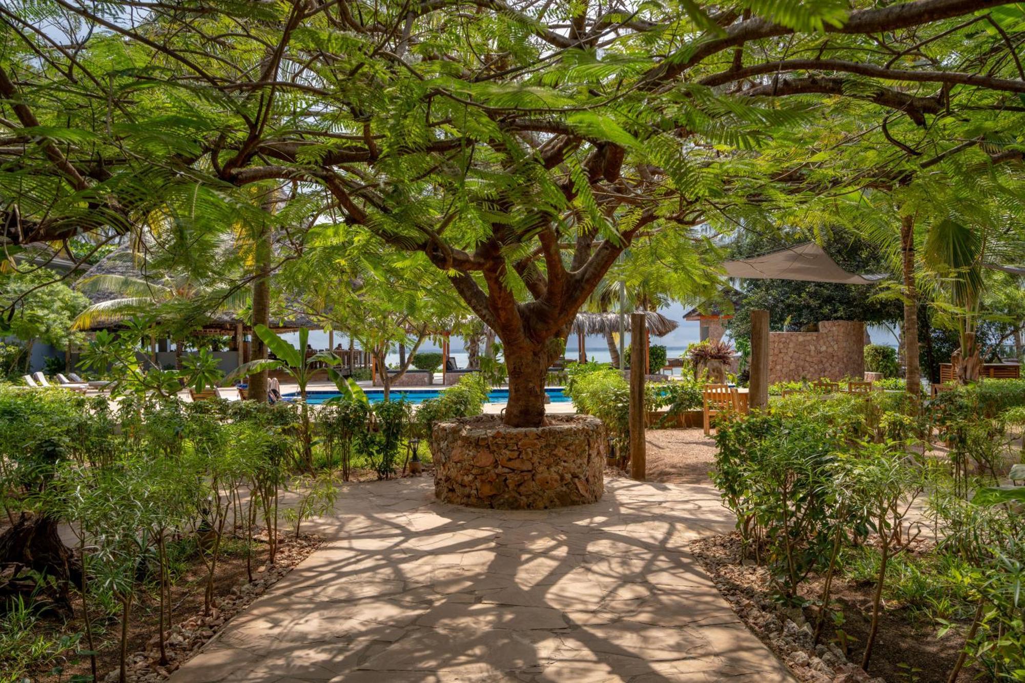 Michamvi Sunset Bay Exterior foto